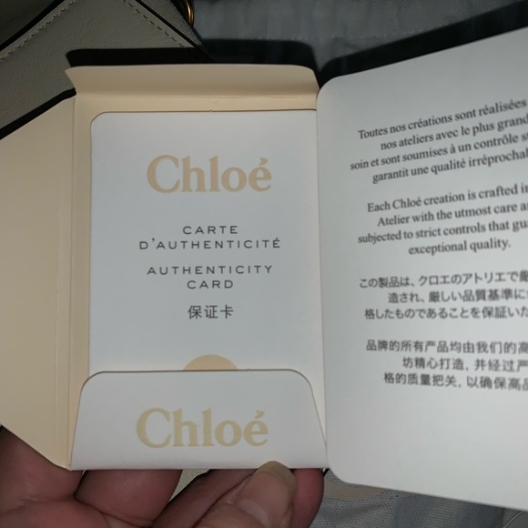 Chloé Nile Medium Bracelet Bag - Picture 8 of 8